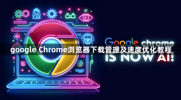 google Chrome浏览器下载管理及速度优化教程1