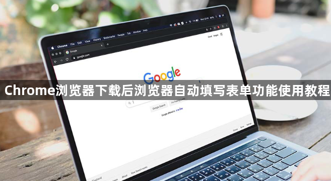 Chrome浏览器下载后浏览器自动填写表单功能使用教程1