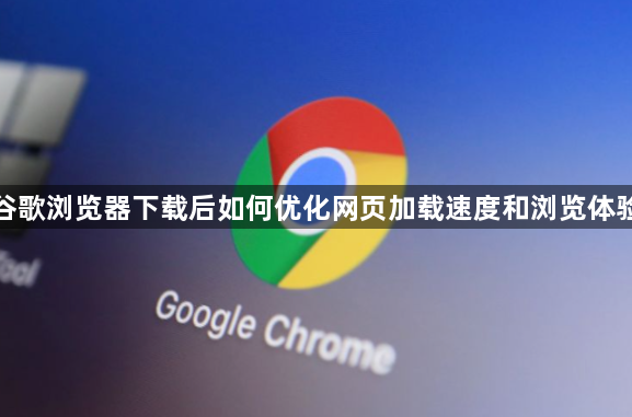 谷歌浏览器下载后如何优化网页加载速度和浏览体验1