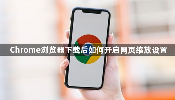 Chrome浏览器下载后如何开启网页缩放设置1