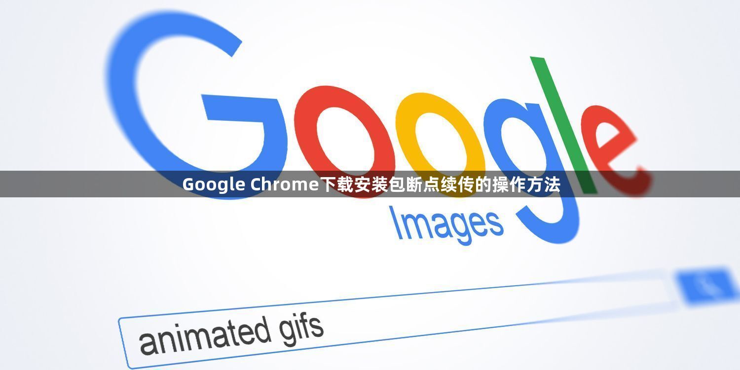 Google Chrome下载安装包断点续传的操作方法1