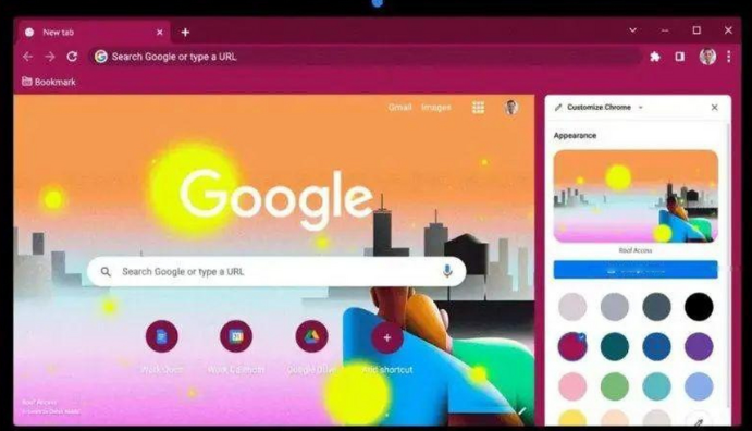 Google浏览器浏览器启动项管理及性能优化教程