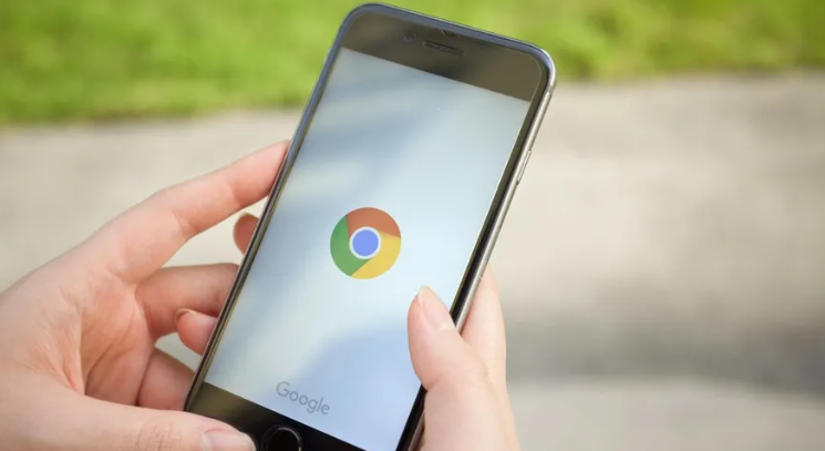 Chrome浏览器网页翻译插件操作技巧实践案例教程