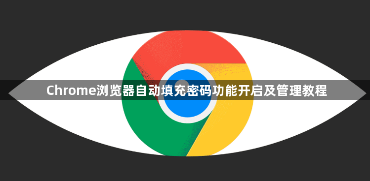 Chrome浏览器自动填充密码功能开启及管理教程1