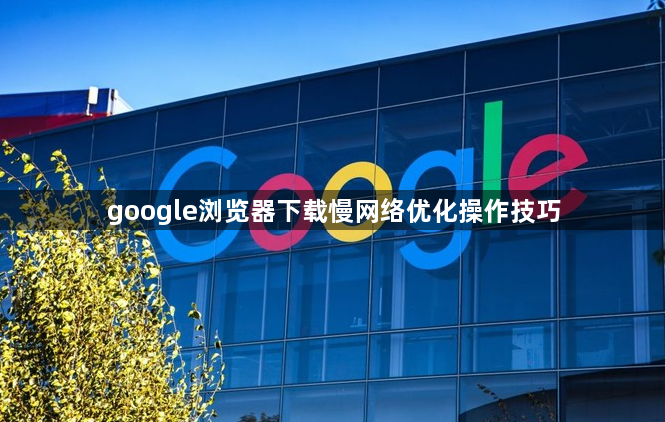 google浏览器下载慢网络优化操作技巧1