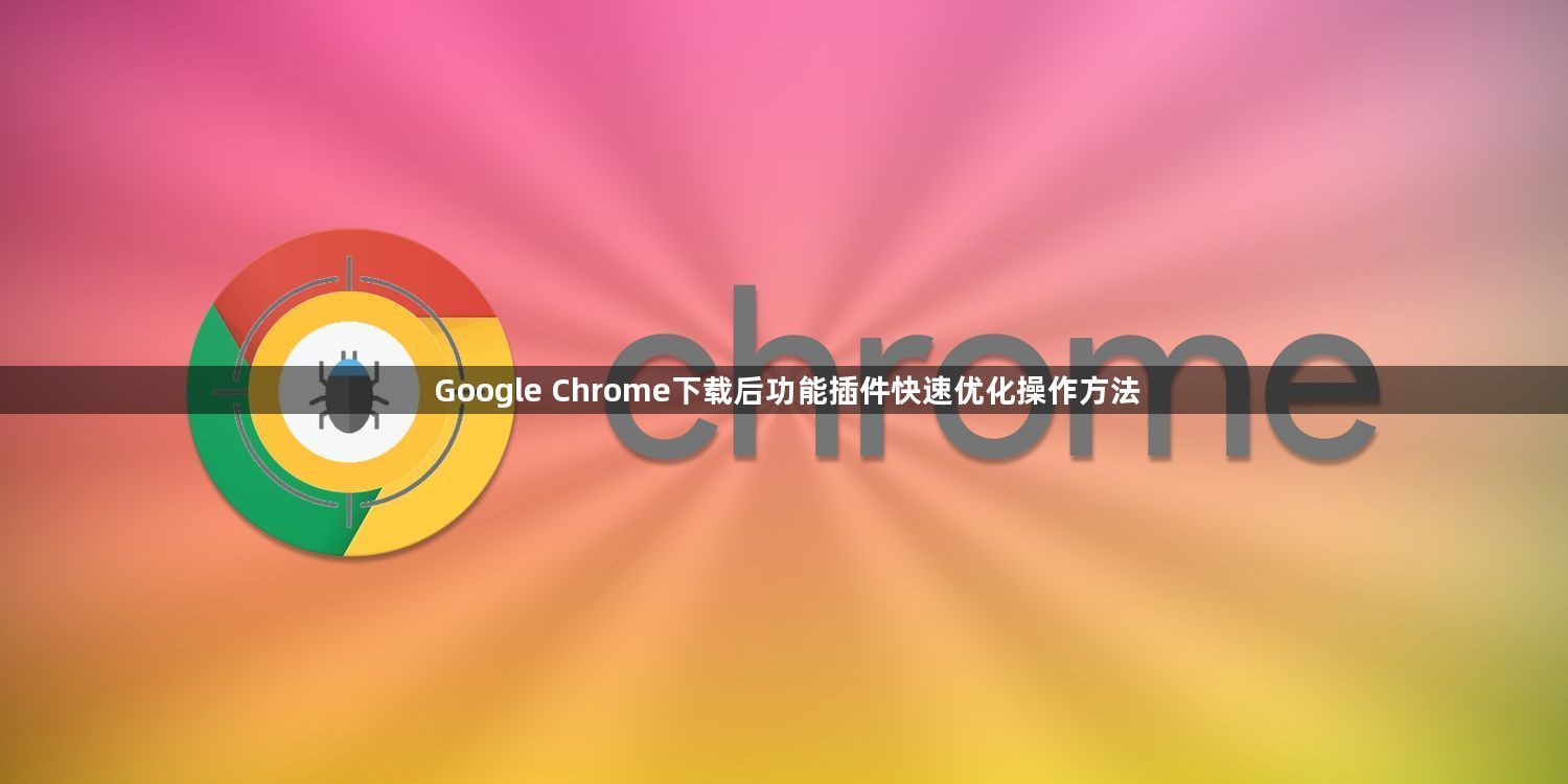 Google Chrome下载后功能插件快速优化操作方法1