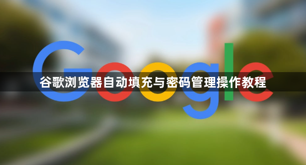 谷歌浏览器自动填充与密码管理操作教程1