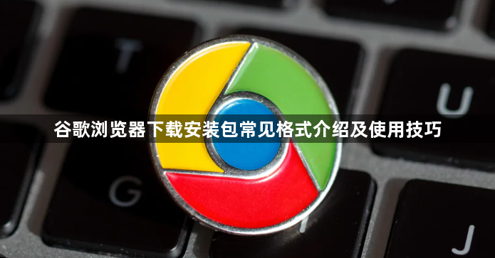 谷歌浏览器下载安装包常见格式介绍及使用技巧1