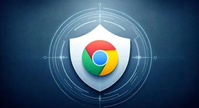 google浏览器下载包管理及使用操作经验