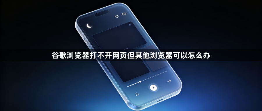 谷歌浏览器打不开网页但其他浏览器可以怎么办1