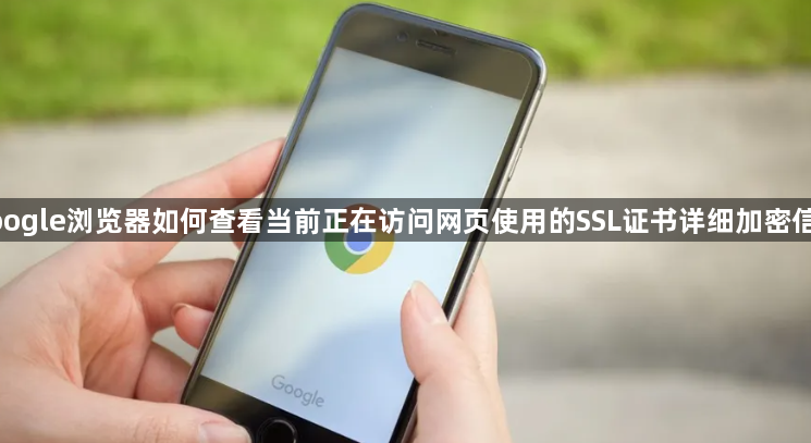 google浏览器如何查看当前正在访问网页使用的SSL证书详细加密信息1