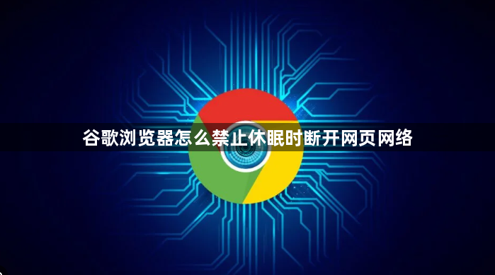 谷歌浏览器怎么禁止休眠时断开网页网络1